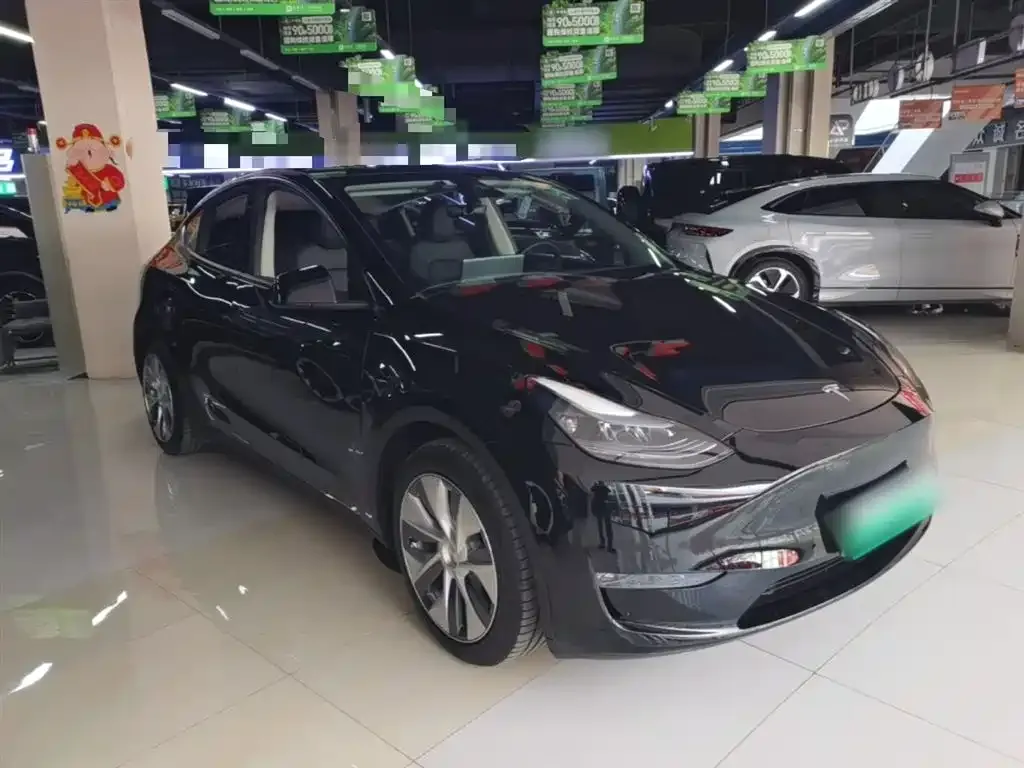 Tesla Model Y 2023 из CN, фото 5