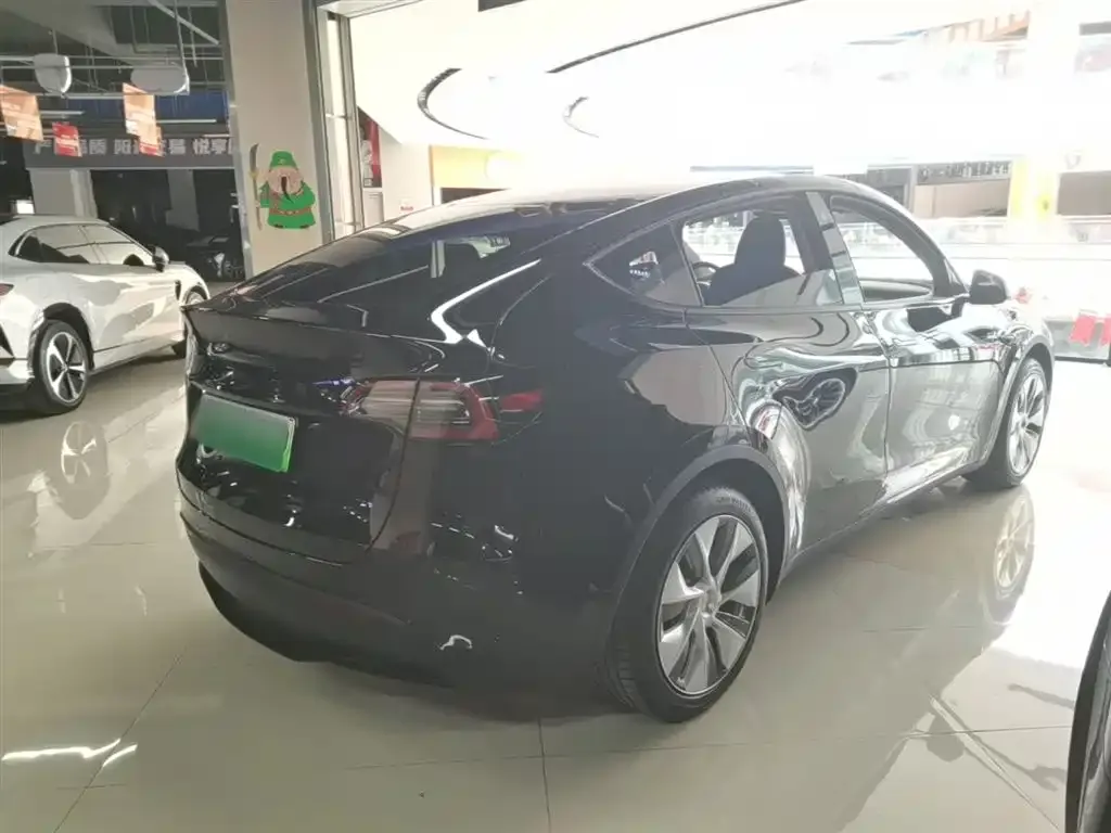 Tesla Model Y 2023 из CN, фото 6