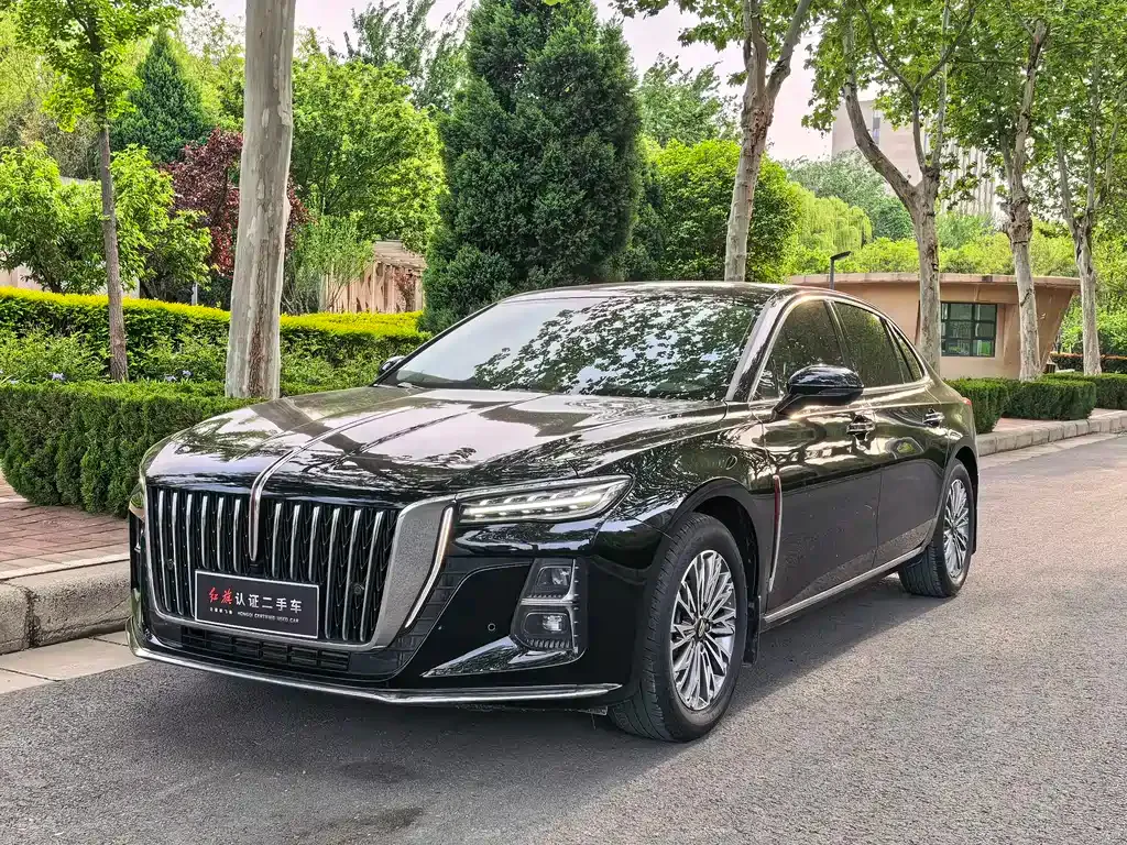 Hongqi H5 2024 из CN, фото 1