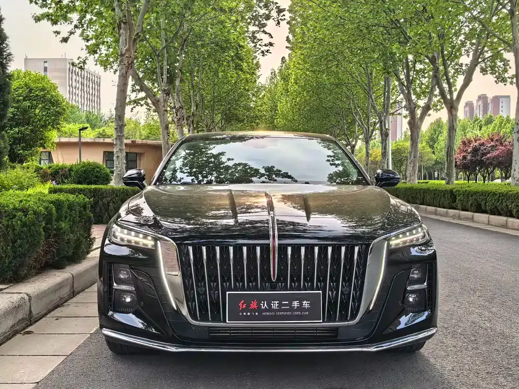 Hongqi H5 2024 из CN, фото 10