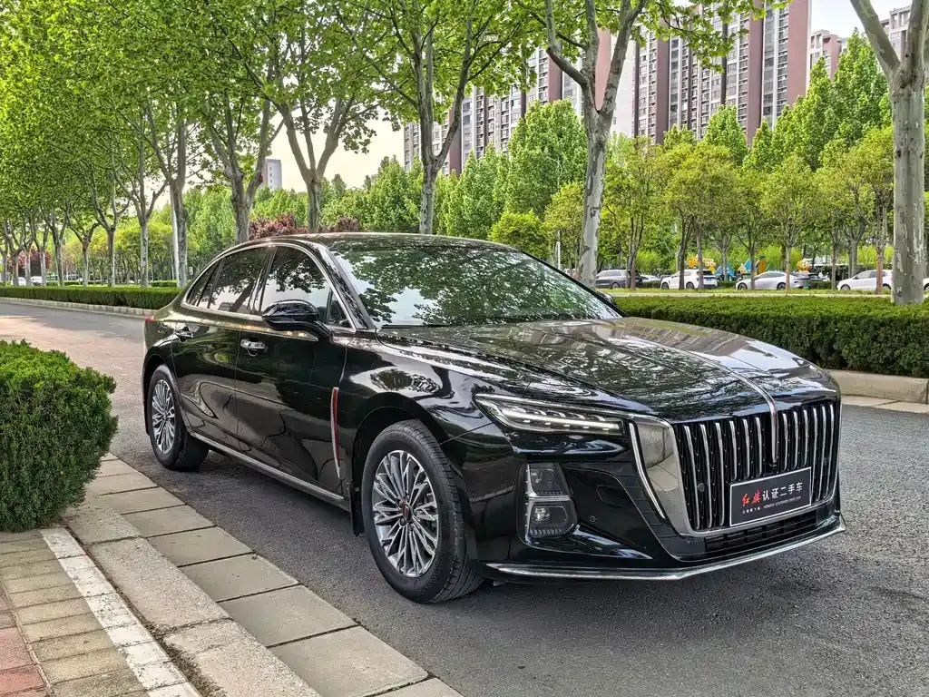 Hongqi H5 2024 из CN, фото 6