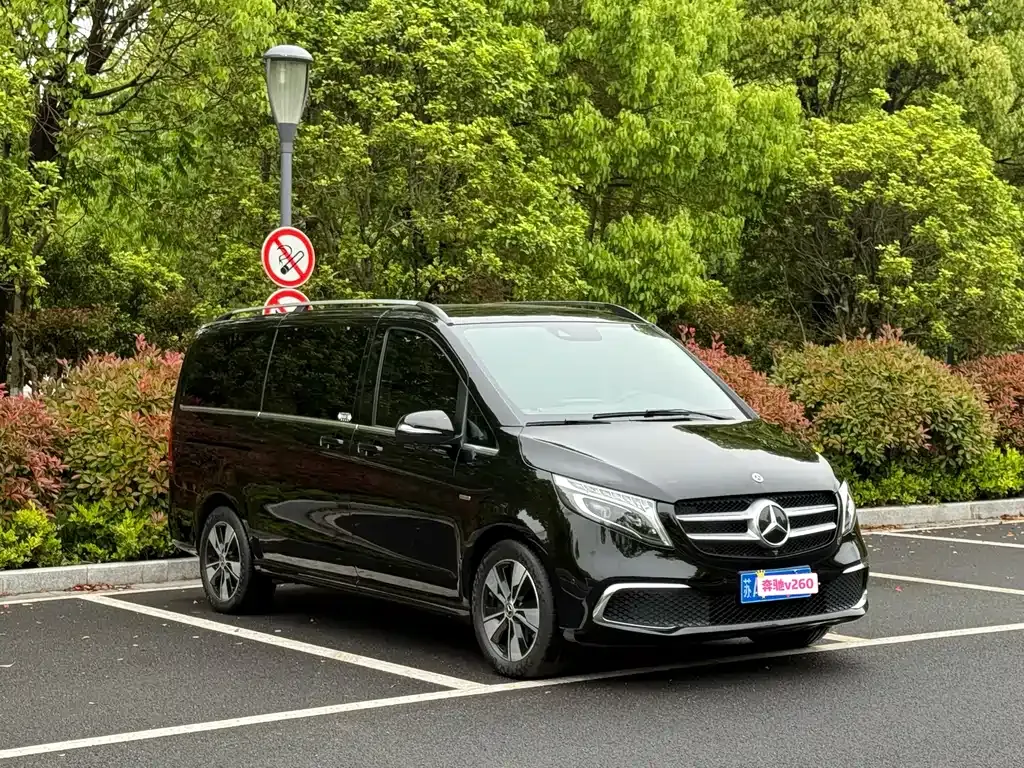 Mercedes-Benz V-Class 2021 из CN, фото 9