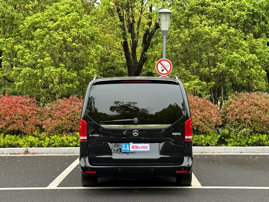 Mercedes-Benz V-Class 2021 из CN, фото 10