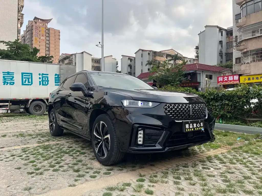 Wey VV7 GT 2021 из CN, фото 6