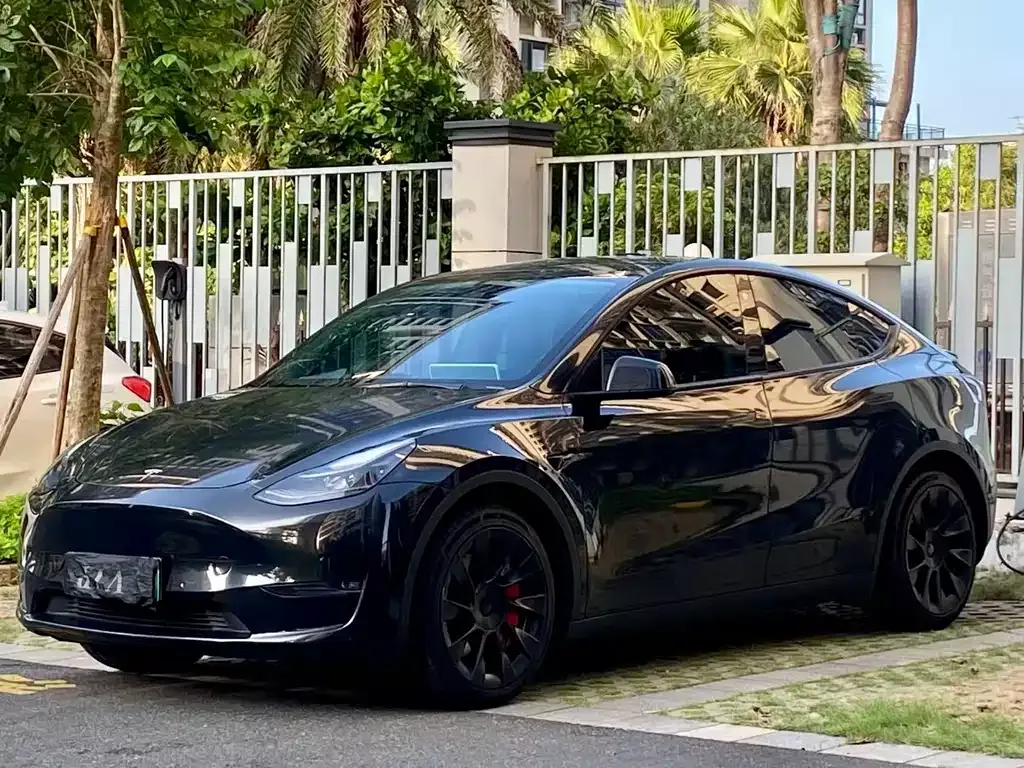 Tesla Model Y — фото 1