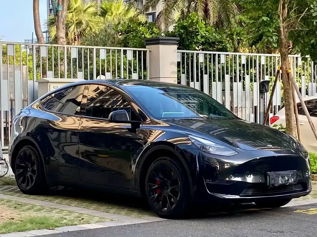 Tesla Model Y — фото 8