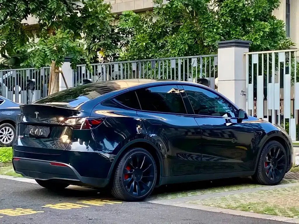 Tesla Model Y — фото 10