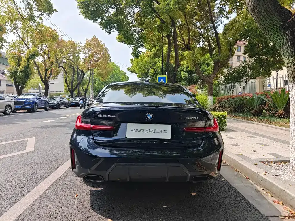 BMW 3 Series 2024 из CN, фото 6