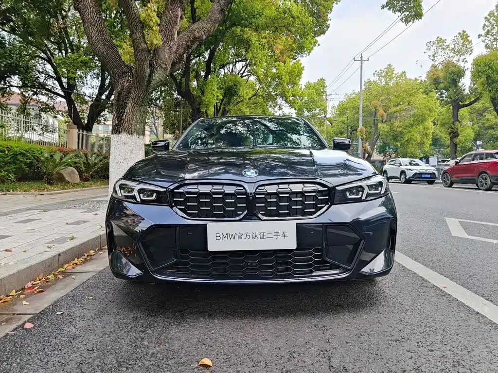 BMW 3 Series 2024 из CN, фото 9