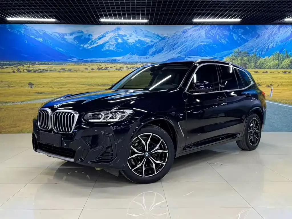 BMW X3 — фото 1