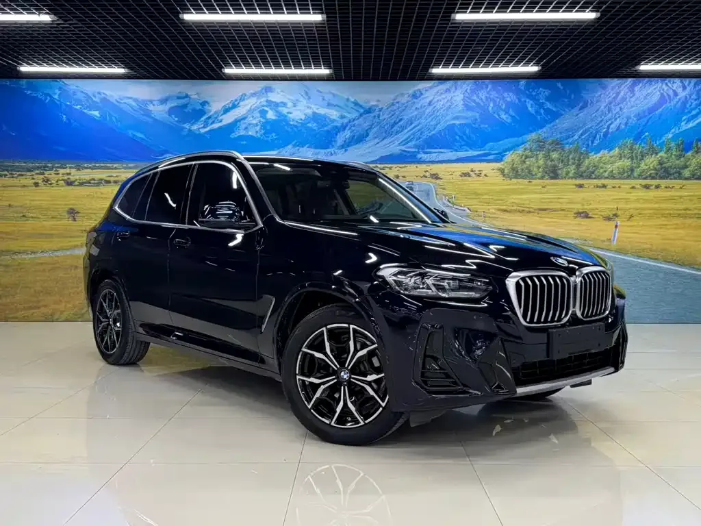BMW X3 — фото 2