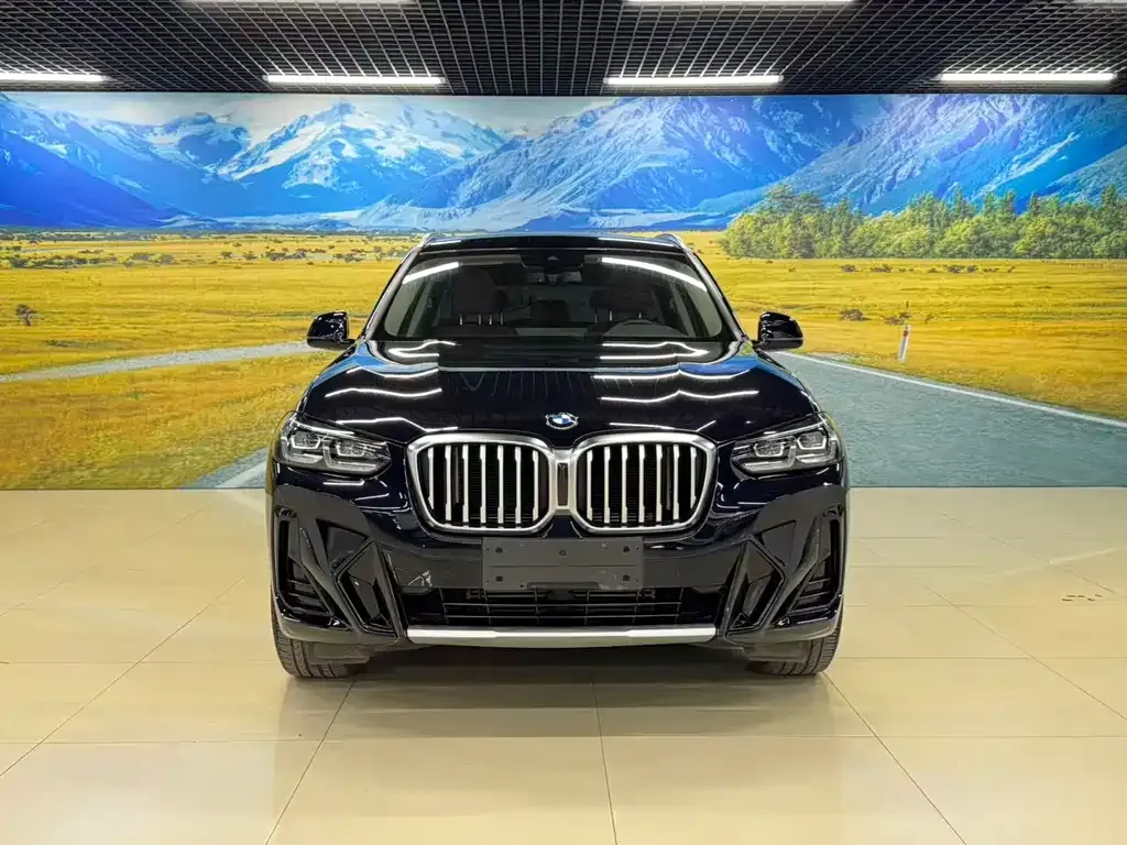 BMW X3 — фото 9