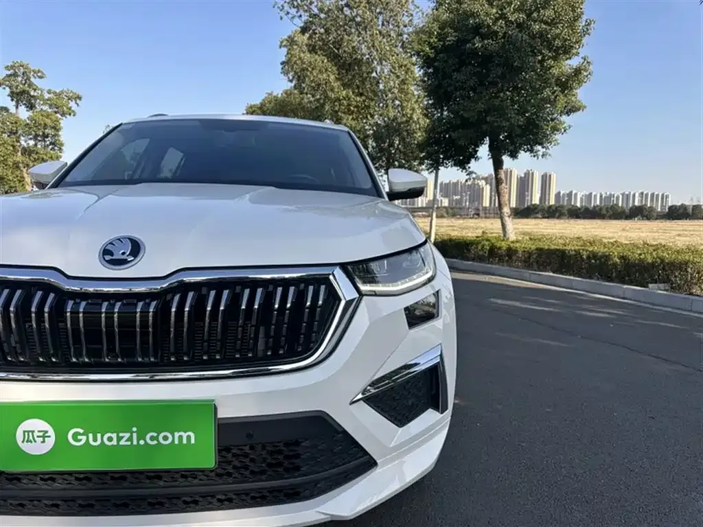 Skoda Kodiaq 2022 из CN, фото 5