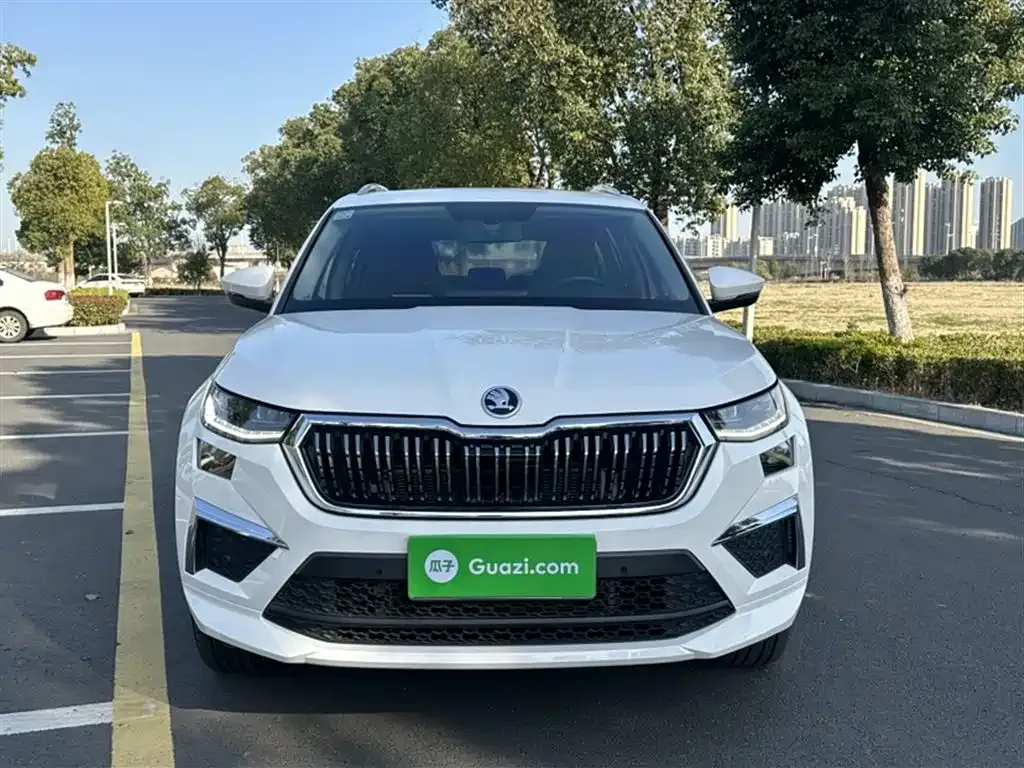 Skoda Kodiaq 2022 из CN, фото 6