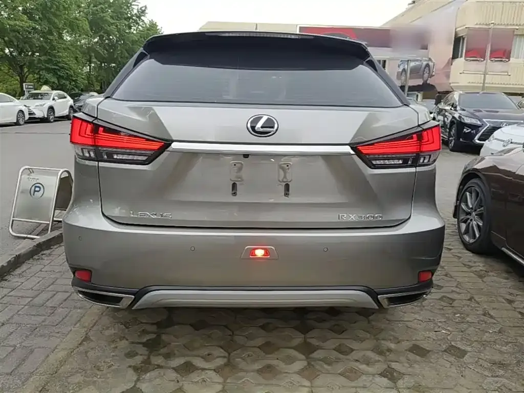 Lexus RX 2021 из CN, фото 4
