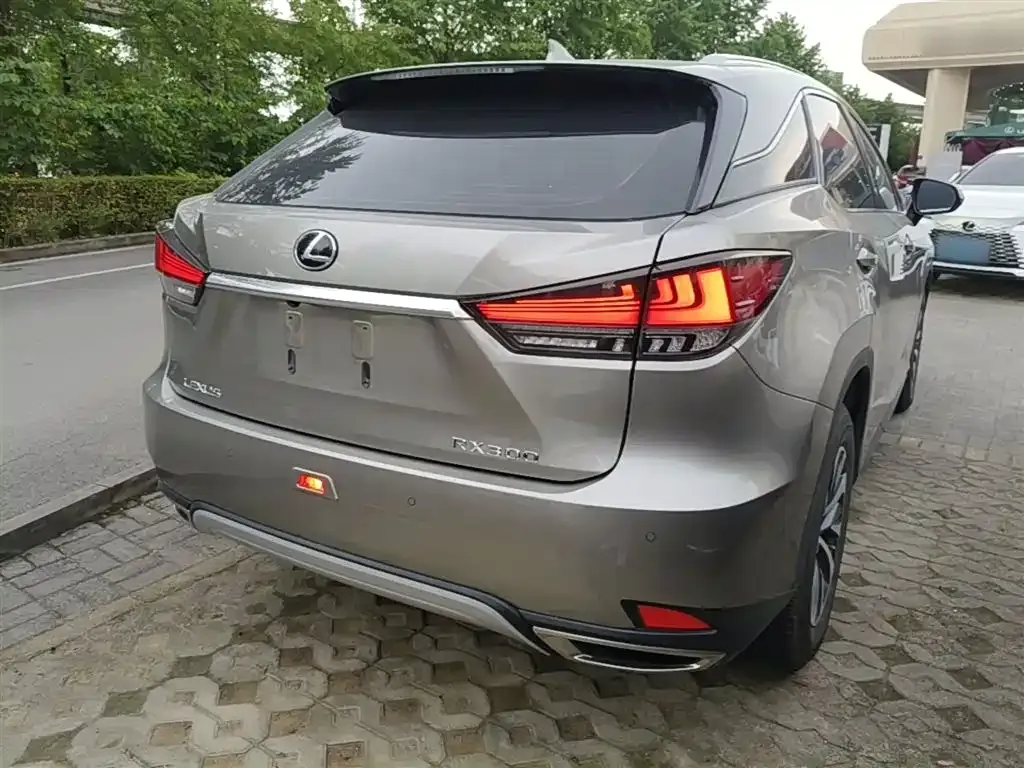 Lexus RX 2021 из CN, фото 9