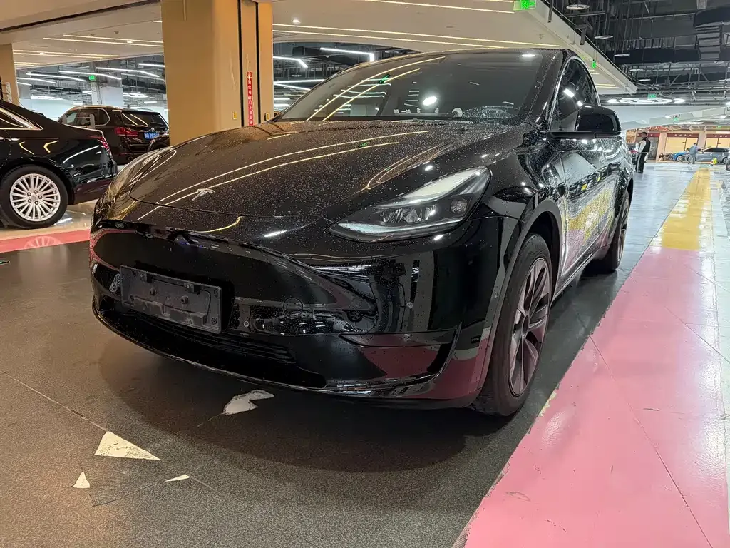 Tesla Model Y — фото 1
