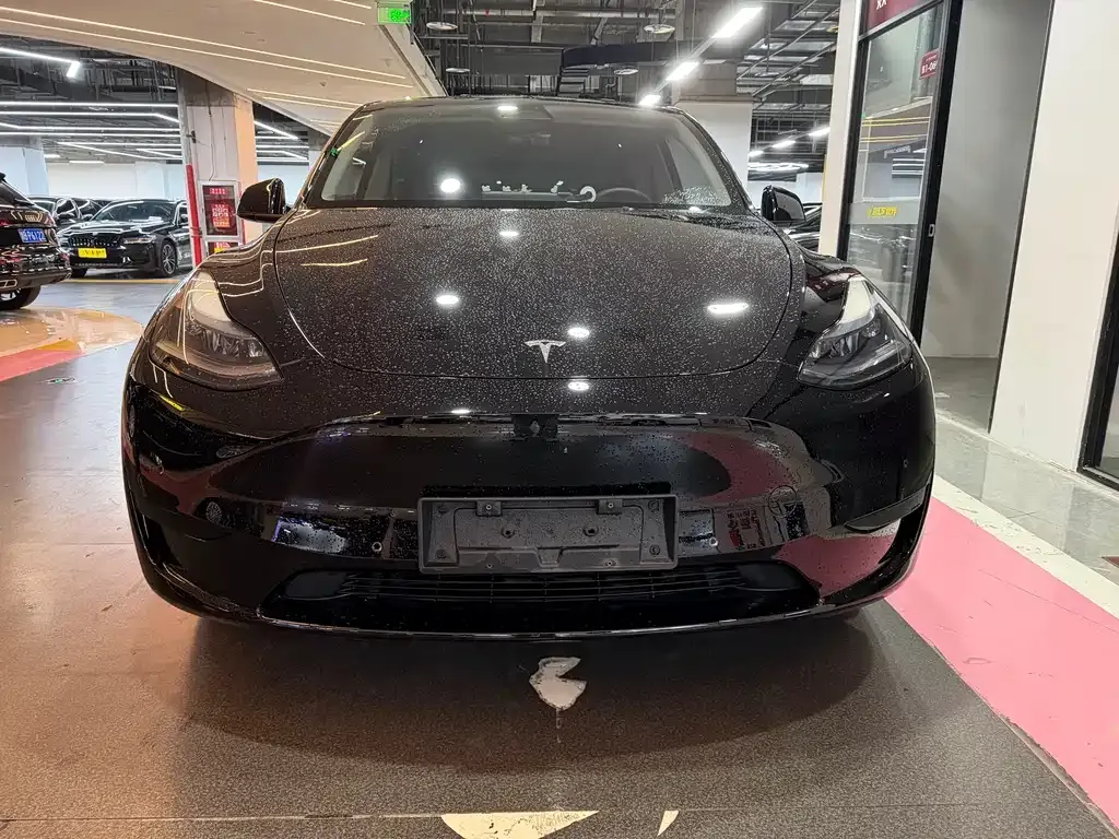 Tesla Model Y — фото 10