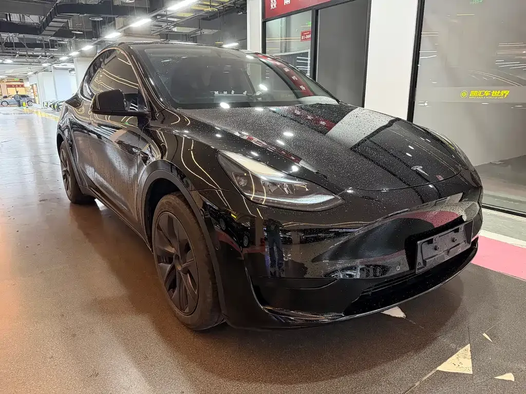 Tesla Model Y — фото 8