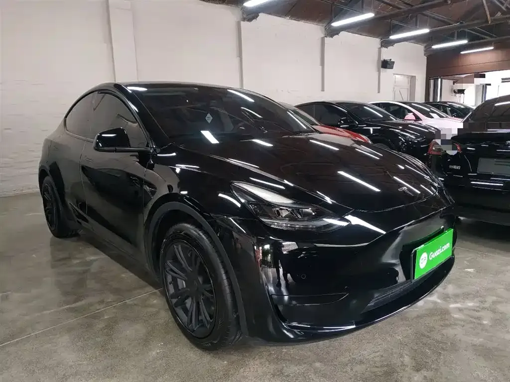 Tesla Model Y — фото 9