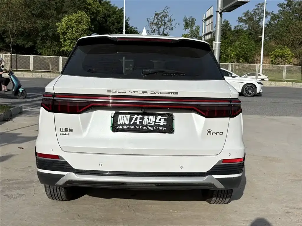 BYD Pro New Energy — фото 3