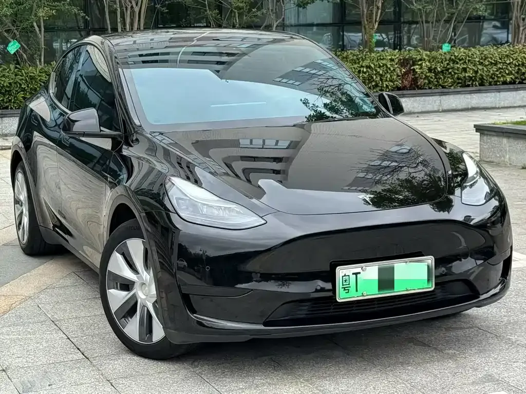 Tesla Model Y — фото 1