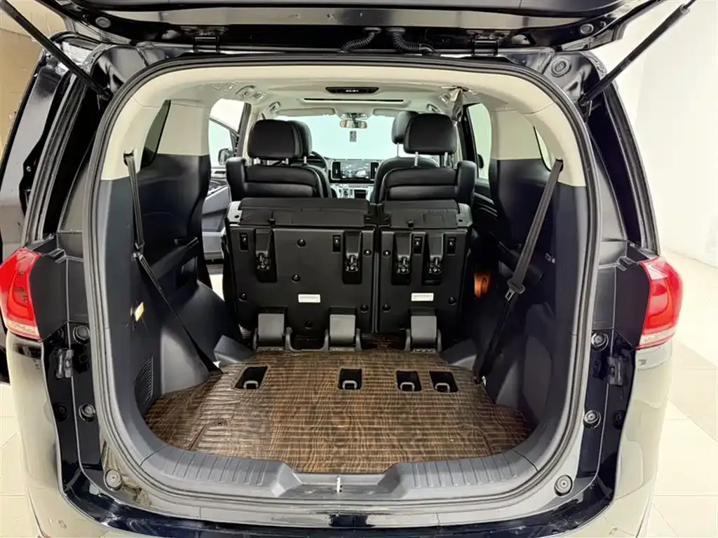 GAC Motor Trumpchi M8 2023 из CN, фото 9