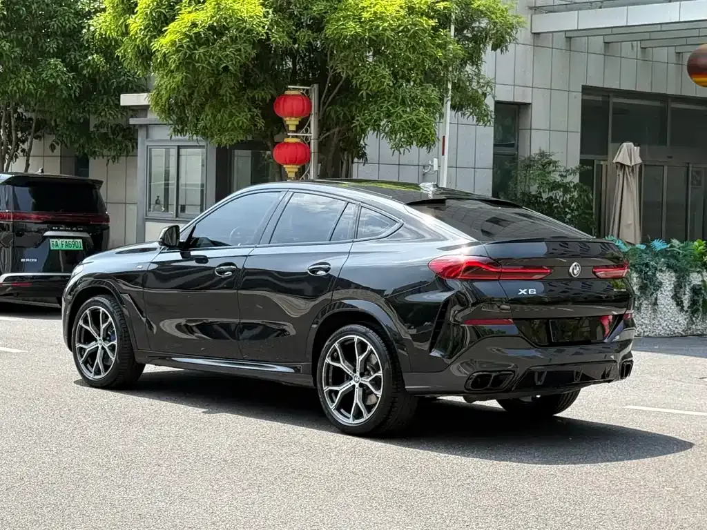 BMW X6 — фото 10