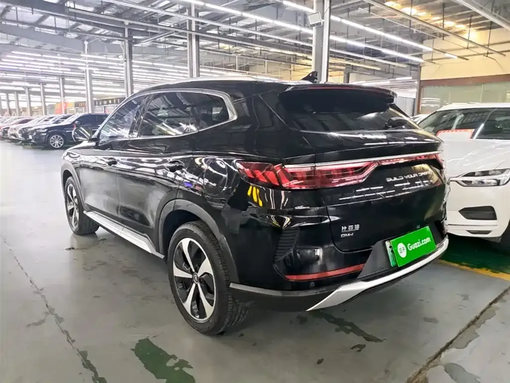 BYD PLUS New Energy — фото 3
