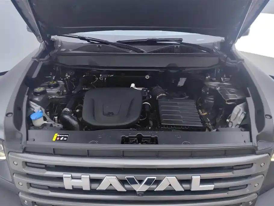 Haval Menglong New Energy 2025 из CN, фото 8