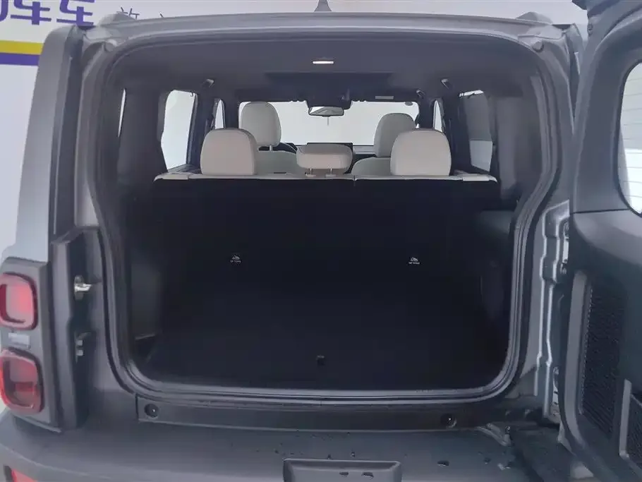 Haval Menglong New Energy 2025 из CN, фото 6