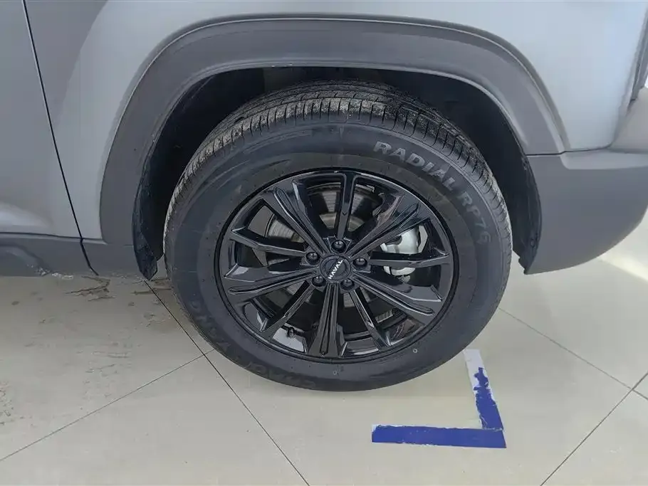 Haval Menglong New Energy 2025 из CN, фото 10