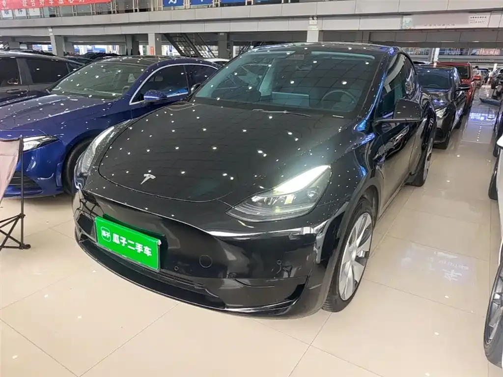 Tesla Model Y — фото 10