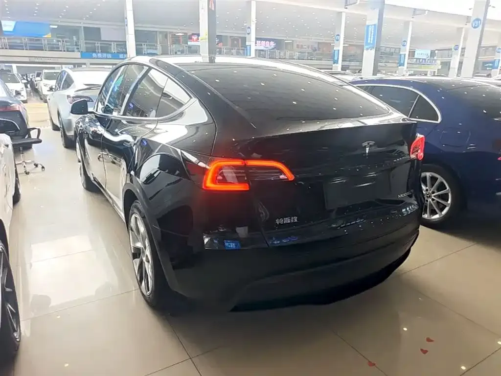 Tesla Model Y — фото 8