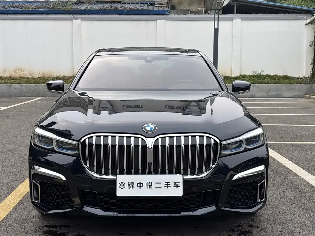 BMW 7 Series 2021 из CN, фото 5