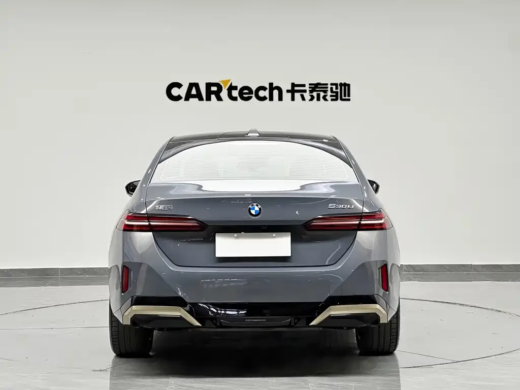 BMW 5 Series 2024 из CN, фото 2