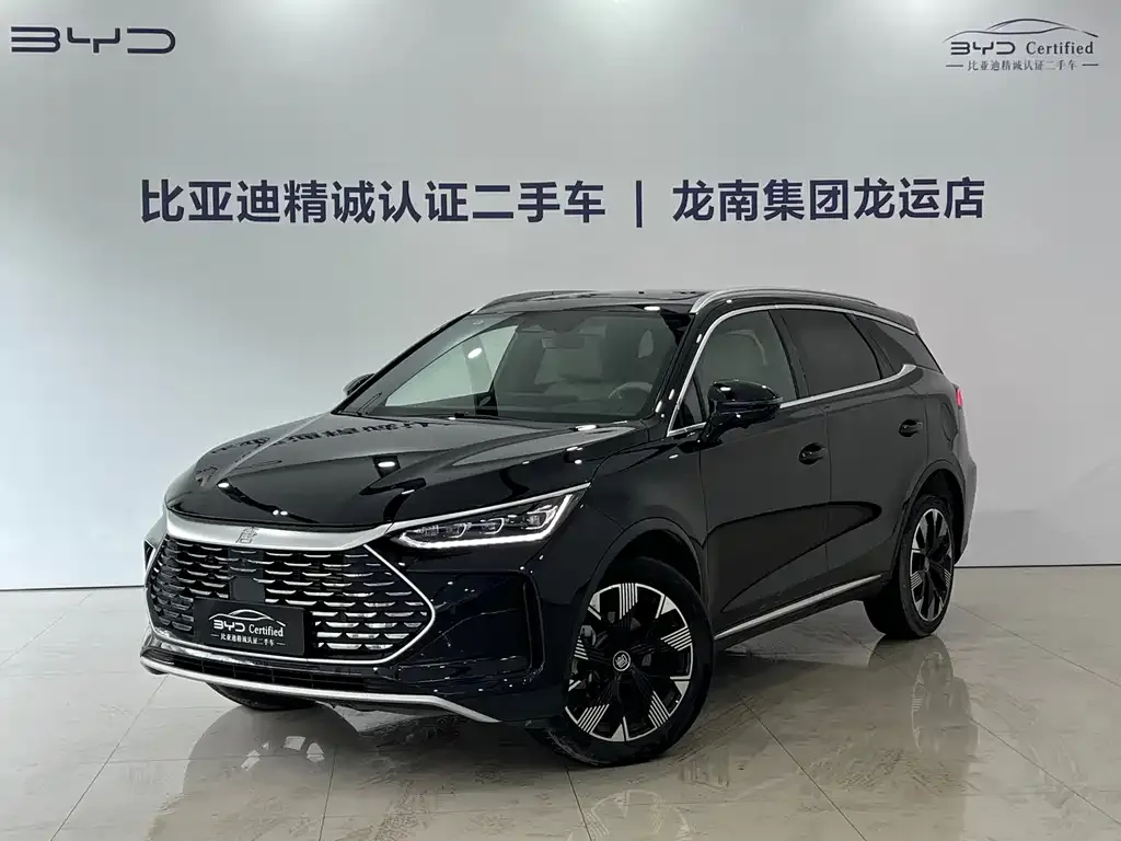 BYD Tang New Energy 2024 из CN, фото 1