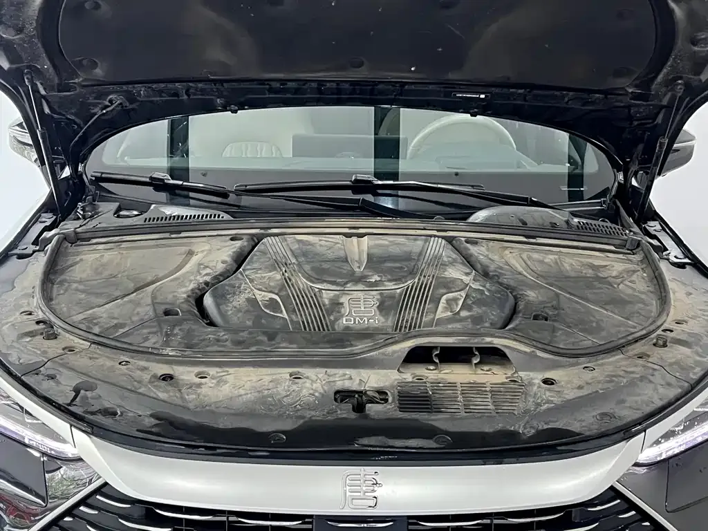 BYD Tang New Energy 2024 из CN, фото 7