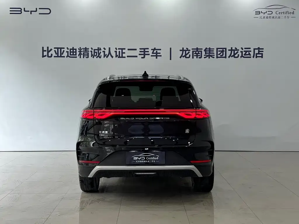 BYD Tang New Energy 2024 из CN, фото 3