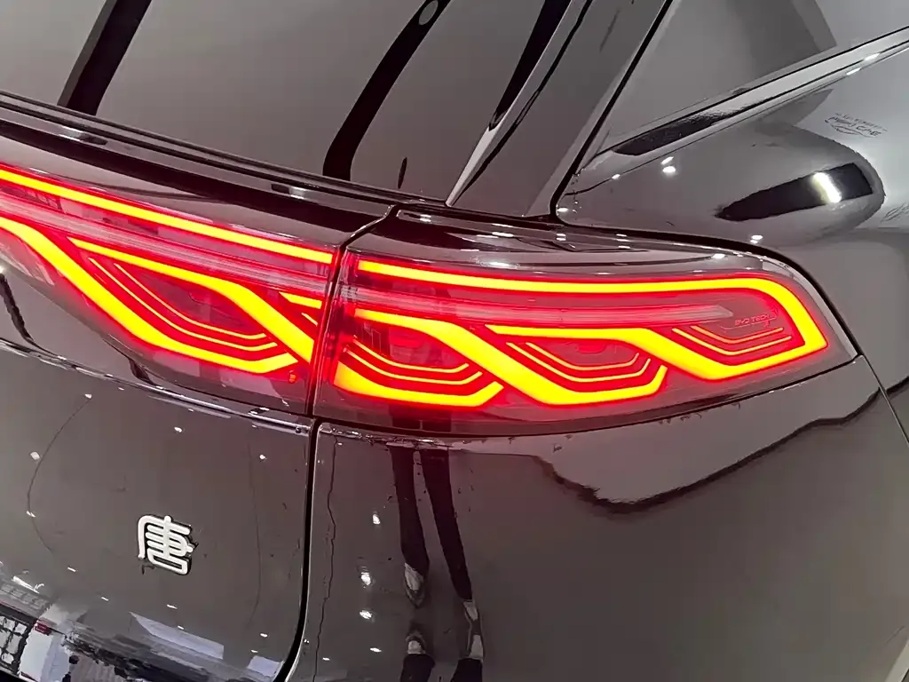 BYD Tang New Energy 2024 из CN, фото 10