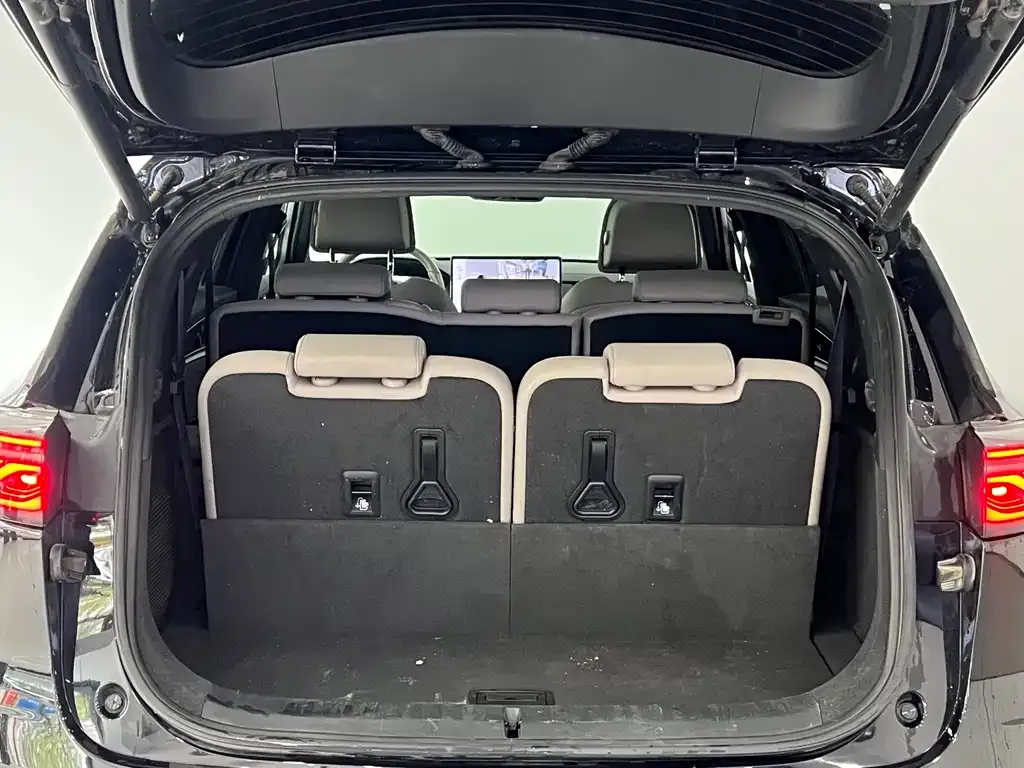 BYD Tang New Energy 2024 из CN, фото 6