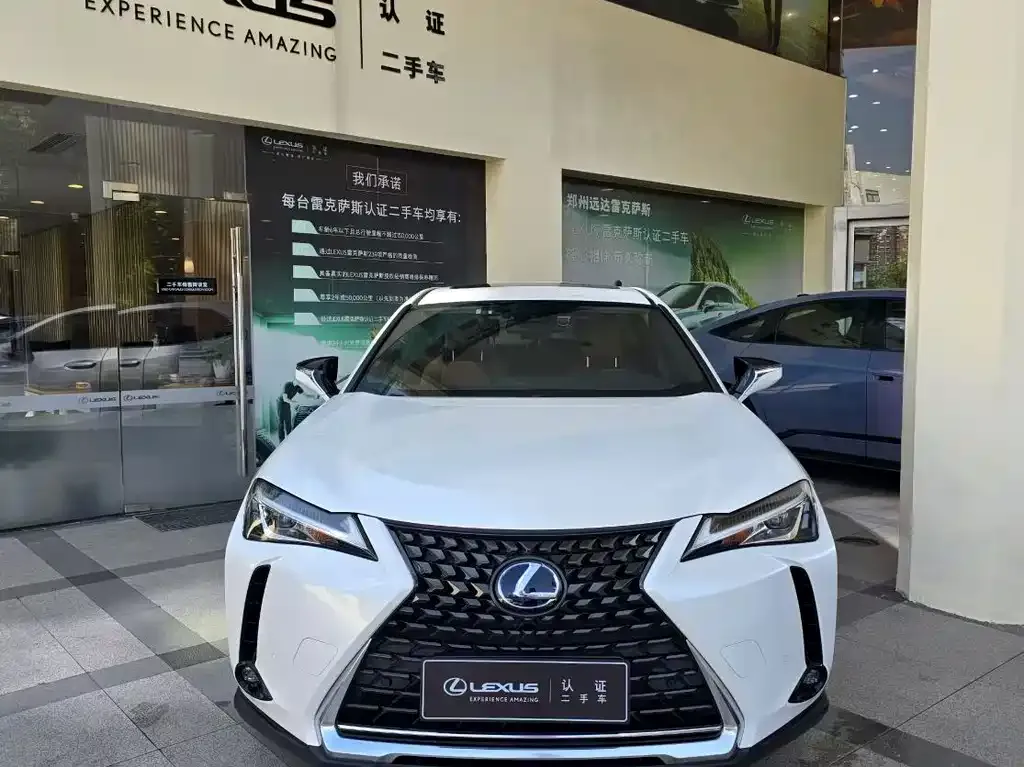 Lexus UX 2021 из CN, фото 7