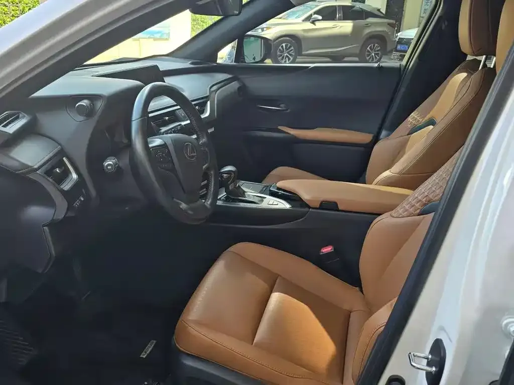 Lexus UX 2021 из CN, фото 4