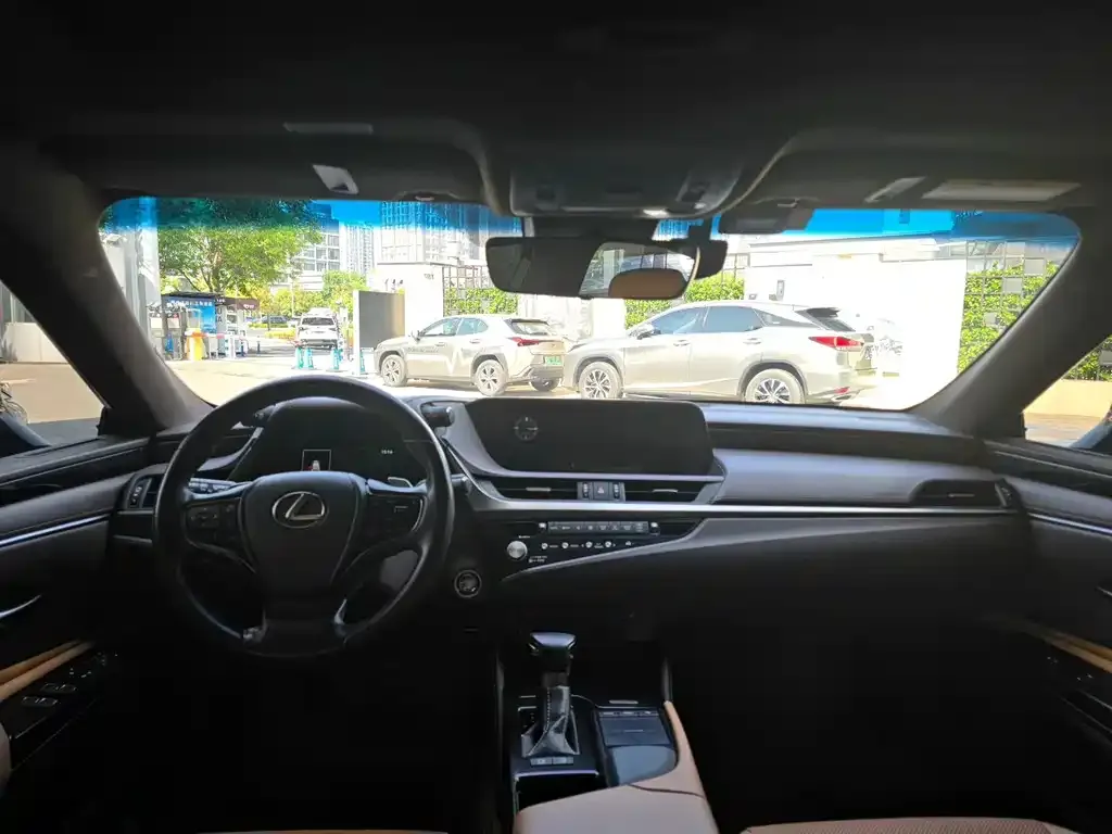 Lexus UX 2021 из CN, фото 3