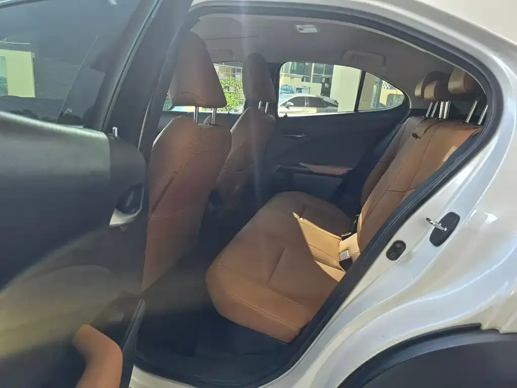Lexus UX 2021 из CN, фото 5