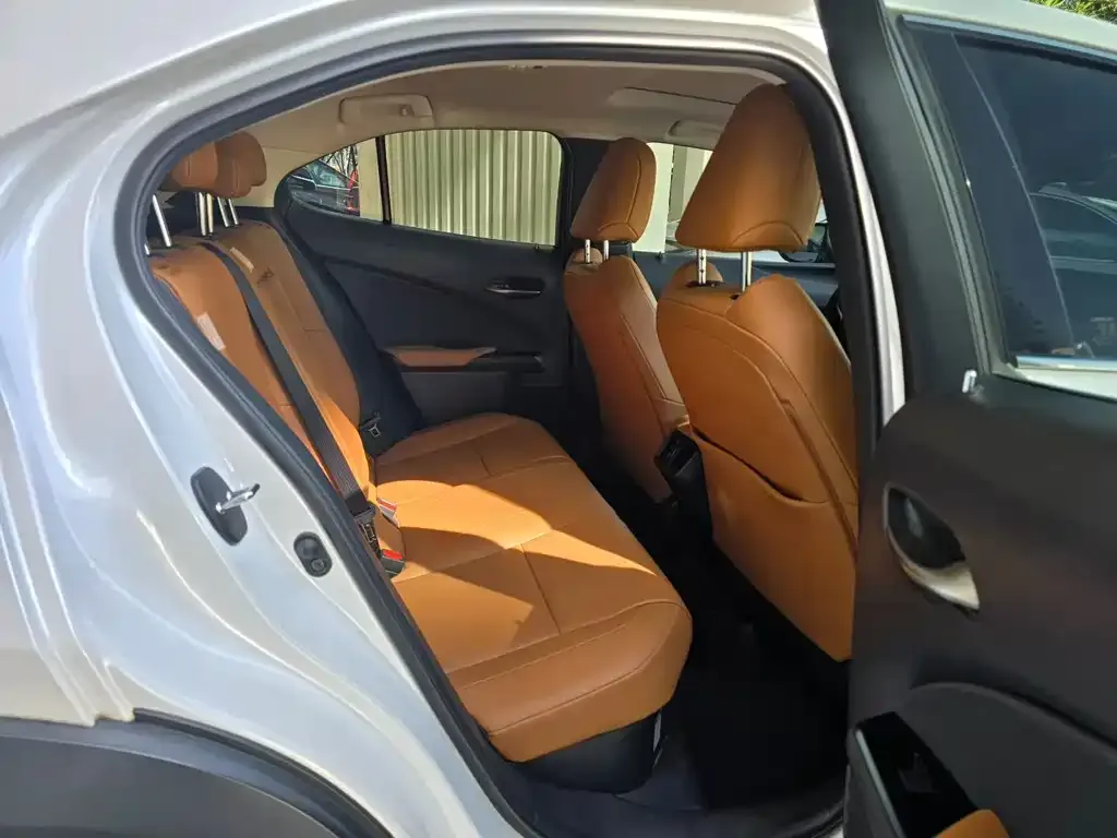 Lexus UX 2021 из CN, фото 2
