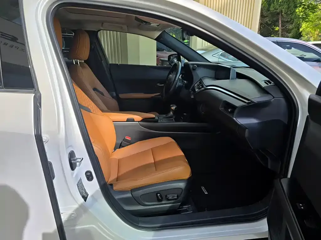 Lexus UX 2021 из CN, фото 9