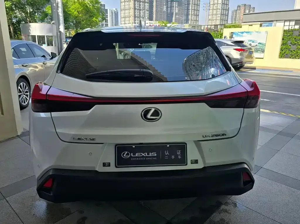 Lexus UX 2021 из CN, фото 6