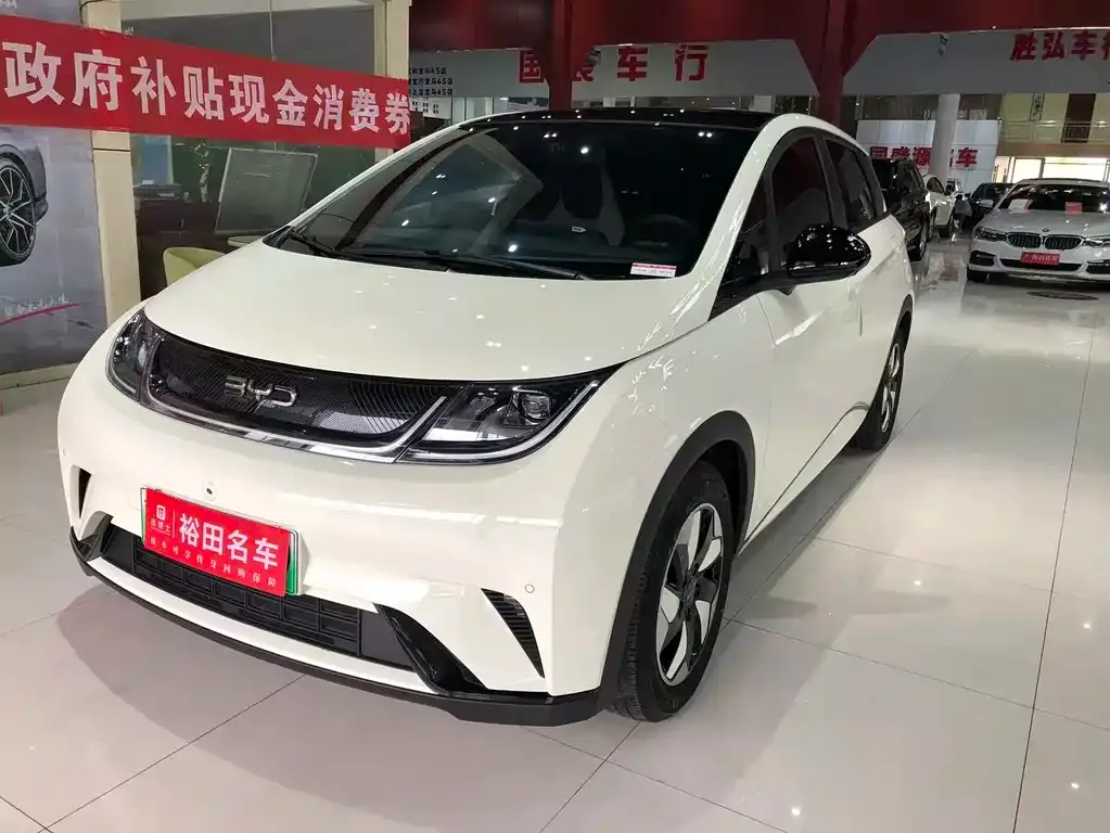 BYD Dolphin 2024 из CN, фото 1