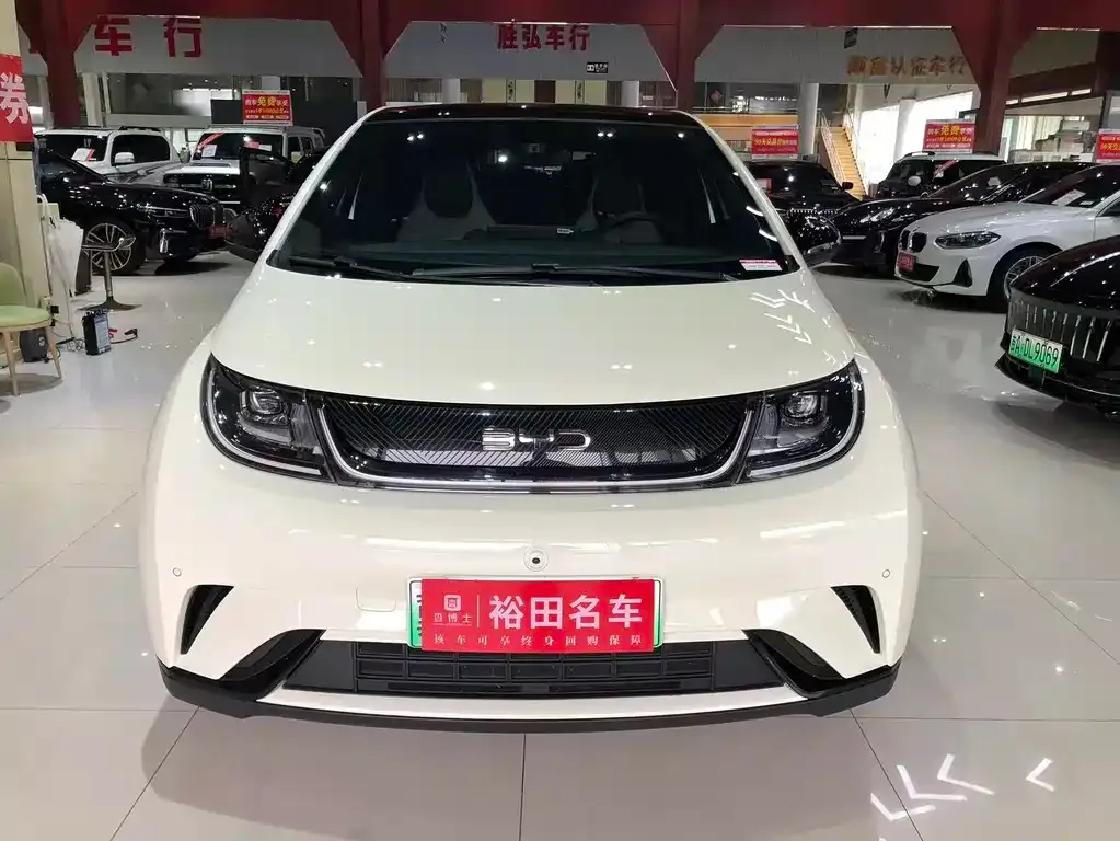 BYD Dolphin 2024 из CN, фото 5